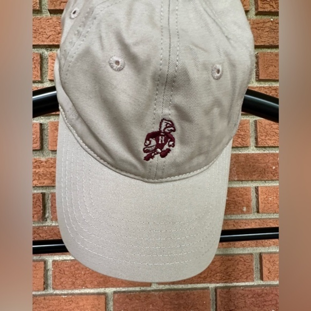 Super Cute dad hat